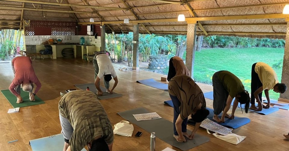 photo_2025-11-10_12-53-10