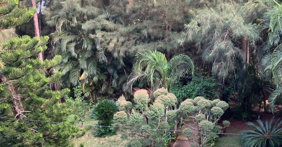 photo_2025-11-13_17-18-09