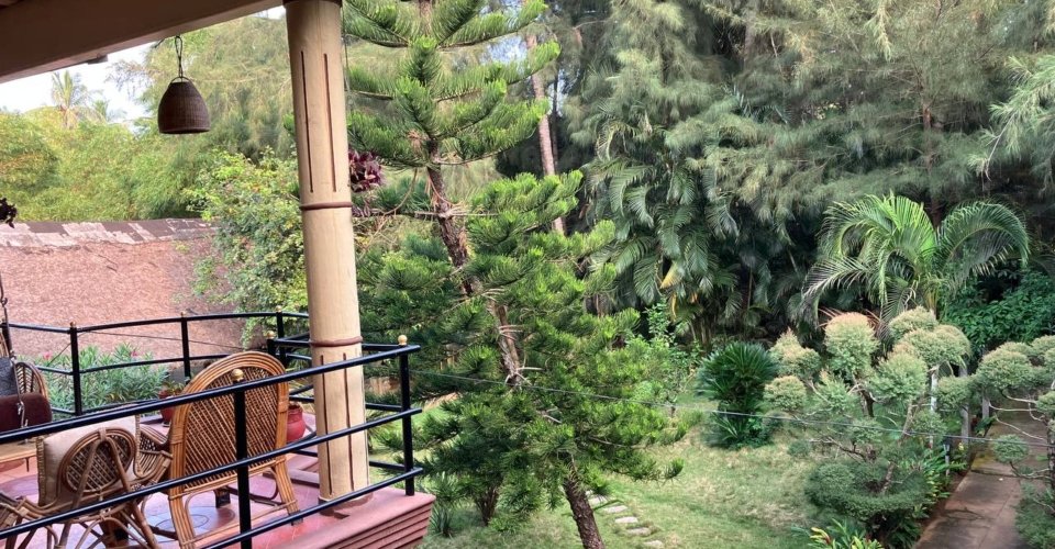 photo_2025-11-13_17-18-06